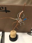 IMG-20181204-WA0004.jpg