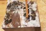 20181226_135853.jpg