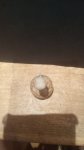IMG_20170327_184648.jpg