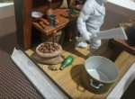 DSC_0937.JPG