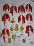 Coldstream Rgt of Foot Guards.jpg