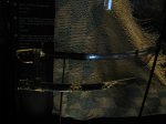 IMG_5642.JPG