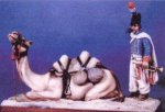 big_60_crbst_n54081.jpg