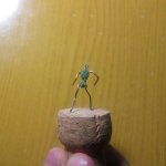 IMG_20170329_212757.jpg