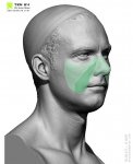 Male05.jpg