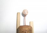 DSCF7513.JPG