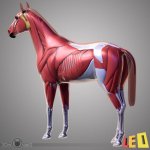 66f1870d1ecd31f00be66c112f821d4c.jpg
