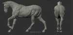 099MEANS_HORSE LEFT & REAR.jpg