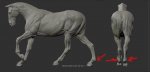 099MEANS_HORSE LEFT & REAR1.jpg