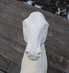 _DSC2533.png