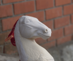 _DSC2572.png