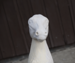 _DSC2573.png