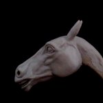 horse_04_27_4.jpg