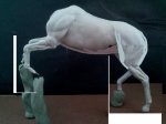 horse_04_30_7.jpg