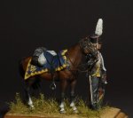 DSC00546.JPG